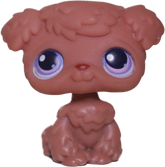 #0039 Poodle Puppy